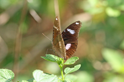d0353091_11275727.jpg