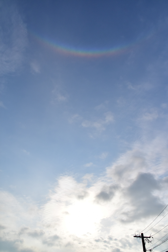 c0049299_22165627.jpg