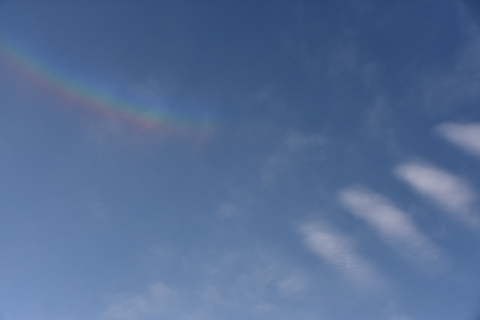 c0049299_22245288.jpg