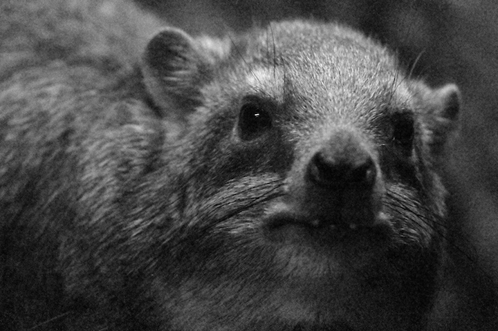 b0016600_22351812.jpg
