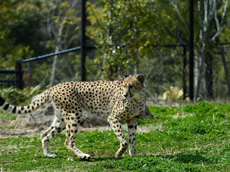 a0164204_08365800.jpg