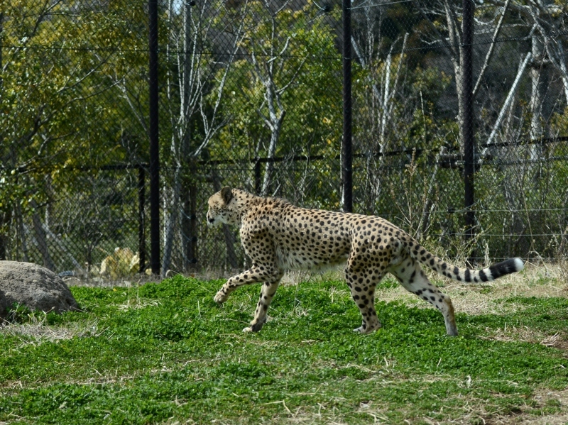 a0164204_08420996.jpg