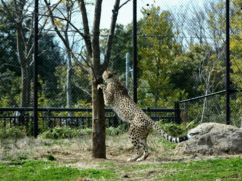 a0164204_08432111.jpg
