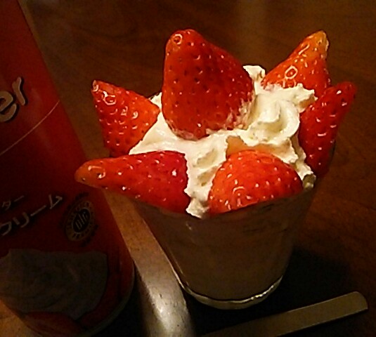 c0212604_2056085.jpg