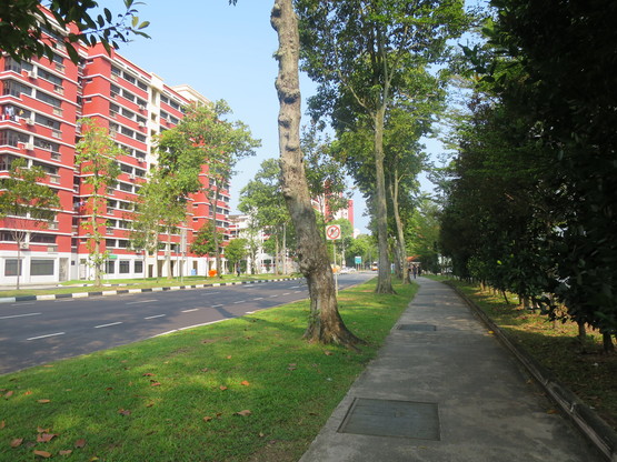 c0212604_21435917.jpg