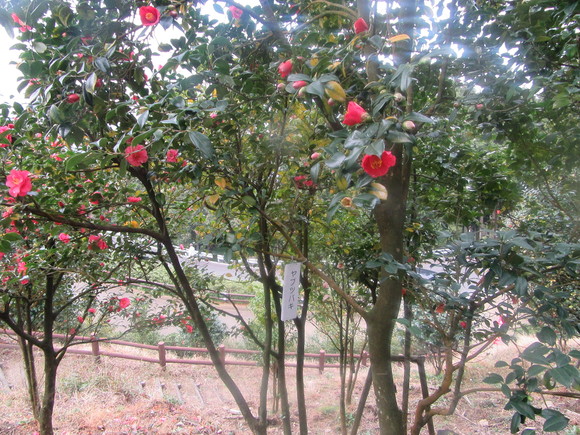 f0231709_21285411.jpg
