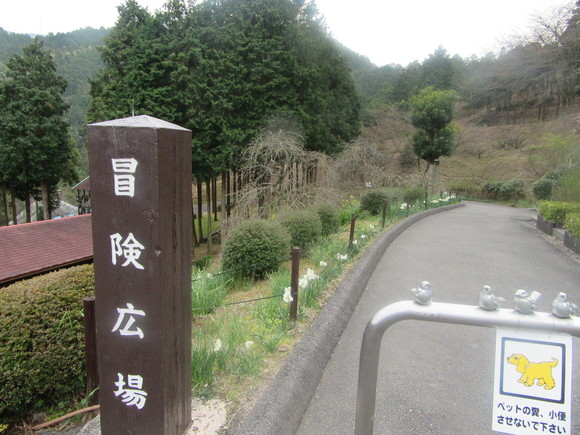 f0231709_21294340.jpg