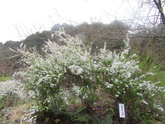 f0231709_21303760.jpg