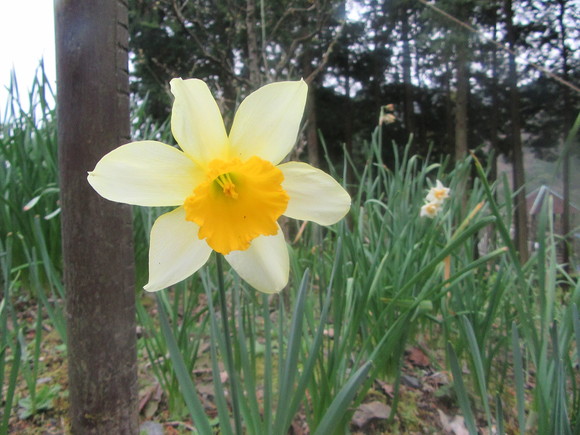 f0231709_2132052.jpg