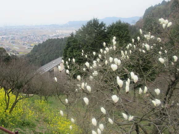f0231709_21334020.jpg
