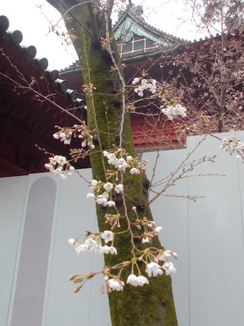 a0019212_11512110.jpeg