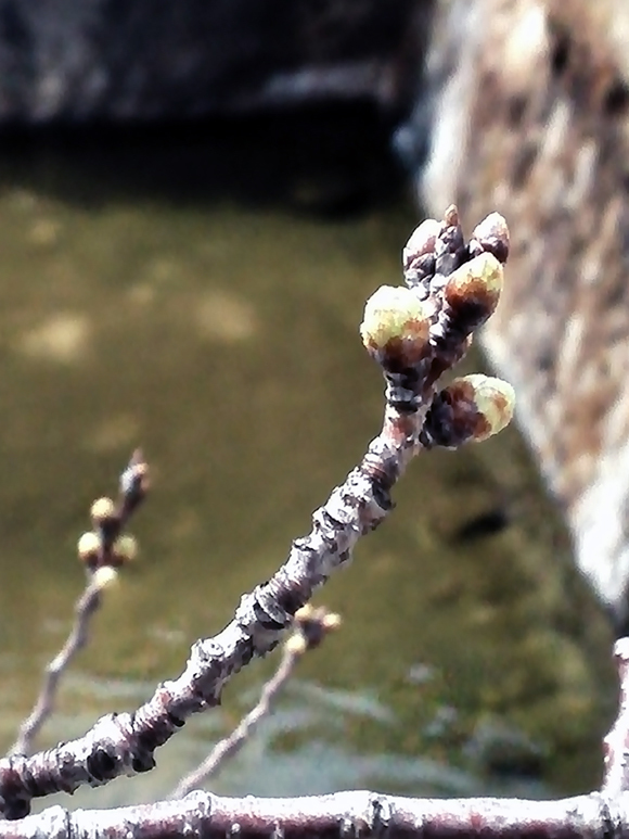 e0083517_01411855.jpg