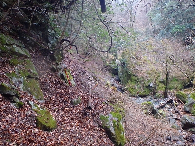 f0193521_17425129.jpg