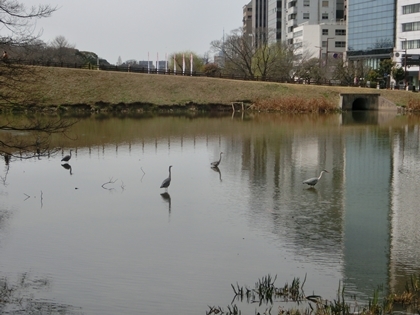 a0105023_22013290.jpg
