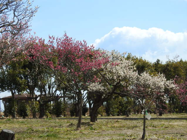 a0248728_17074188.jpg