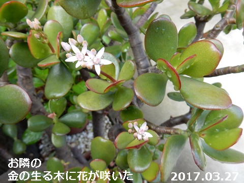 e0033229_15231573.jpg