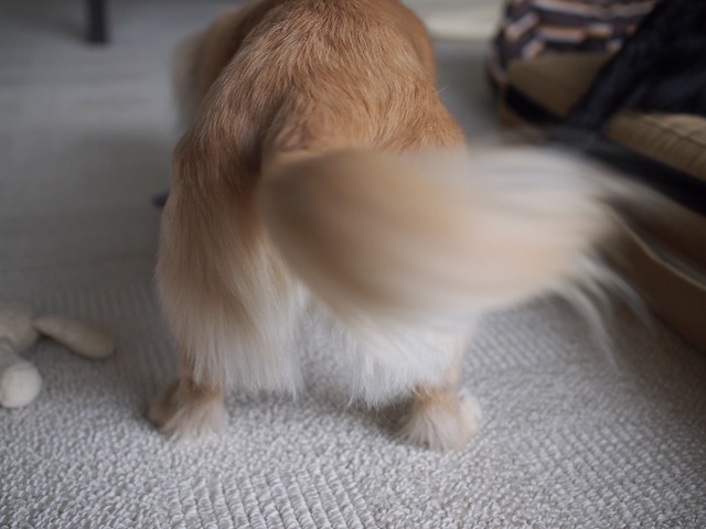 c0117831_16502791.jpg