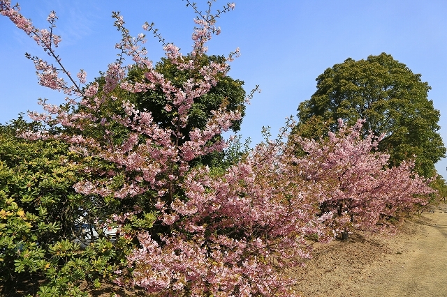 a0242438_19391064.jpg