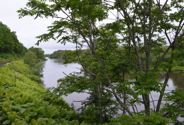 e0098241_1513321.jpg