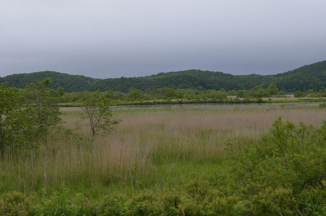 e0098241_1571487.jpg