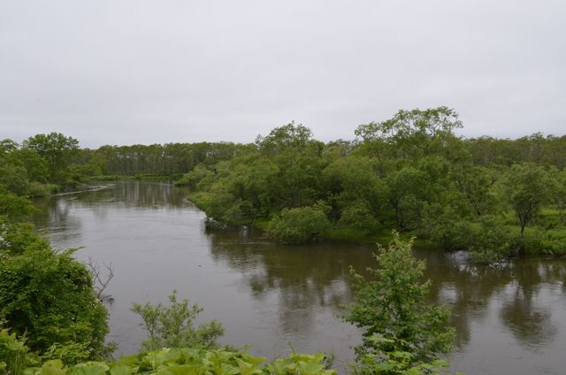 e0098241_1581572.jpg