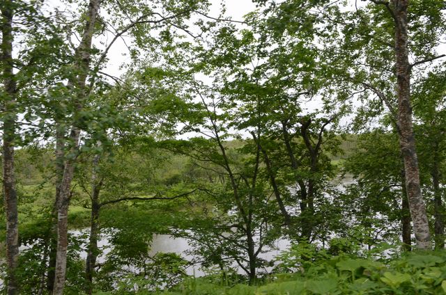 e0098241_158484.jpg