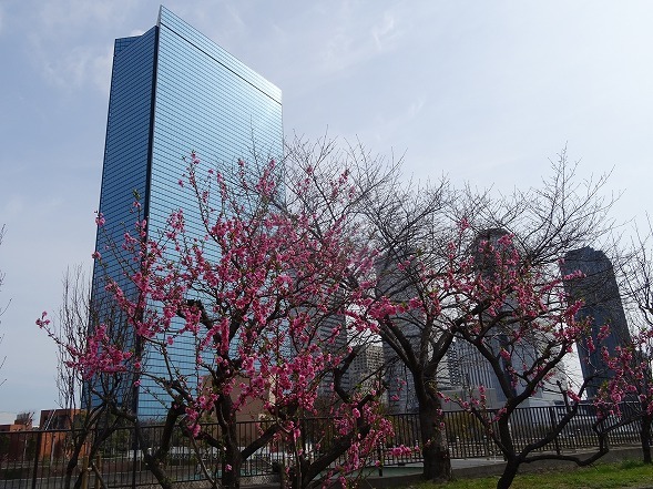 b0299042_13025303.jpg