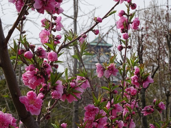 b0299042_13030579.jpg
