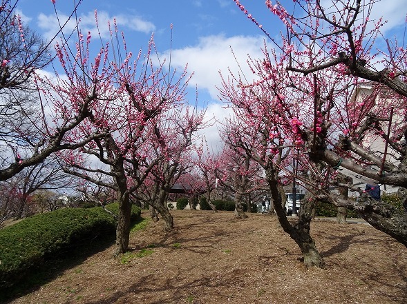 b0299042_13355390.jpg