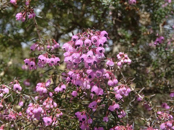 b0299042_14023956.jpg