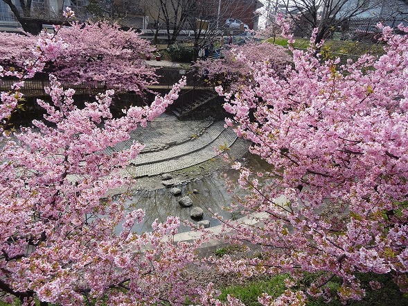 b0299042_14473372.jpg
