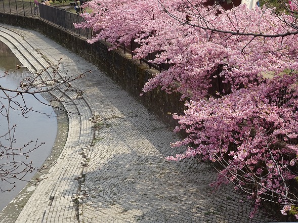 b0299042_14483367.jpg