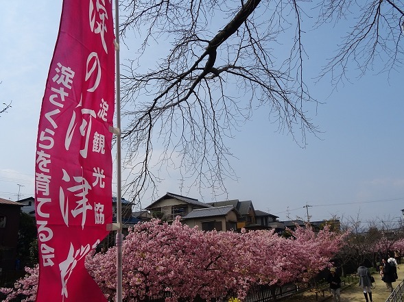 b0299042_14492953.jpg