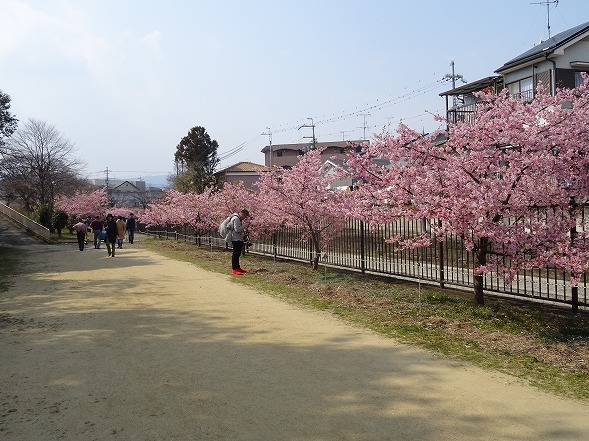 b0299042_14502565.jpg