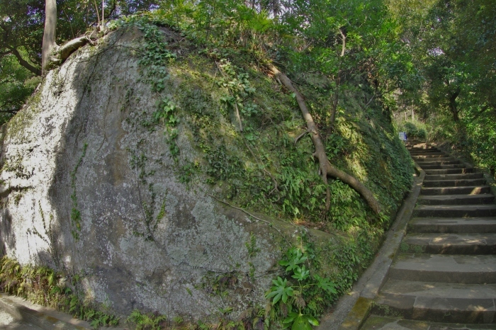d0185744_18254743.jpg