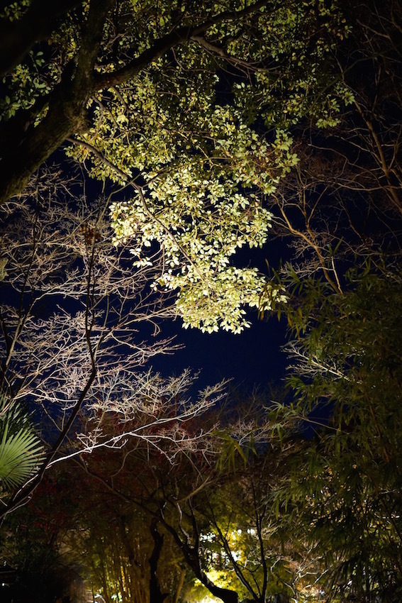 f0134963_23520171.jpg