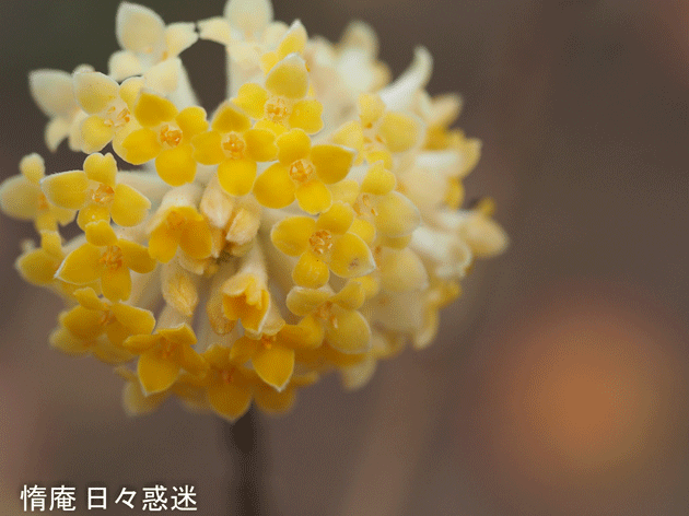 e0346064_20484157.gif