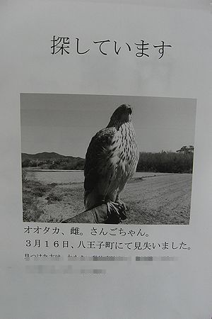b0094265_20162781.jpg