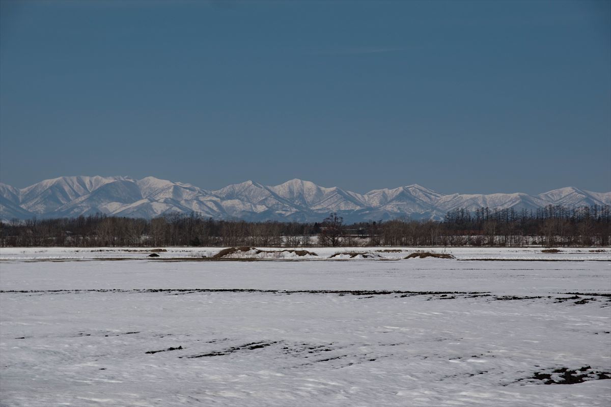 b0281366_11475169.jpg