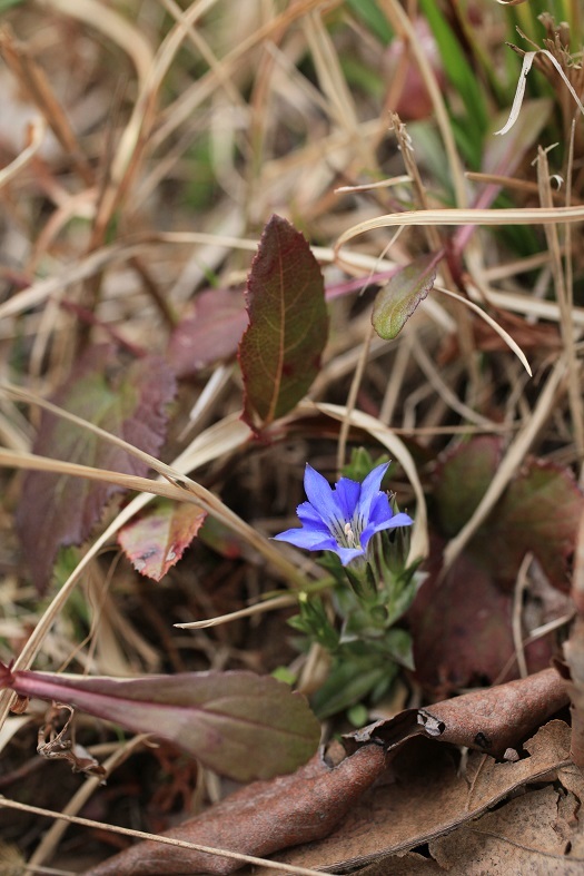 e0304170_22315484.jpg