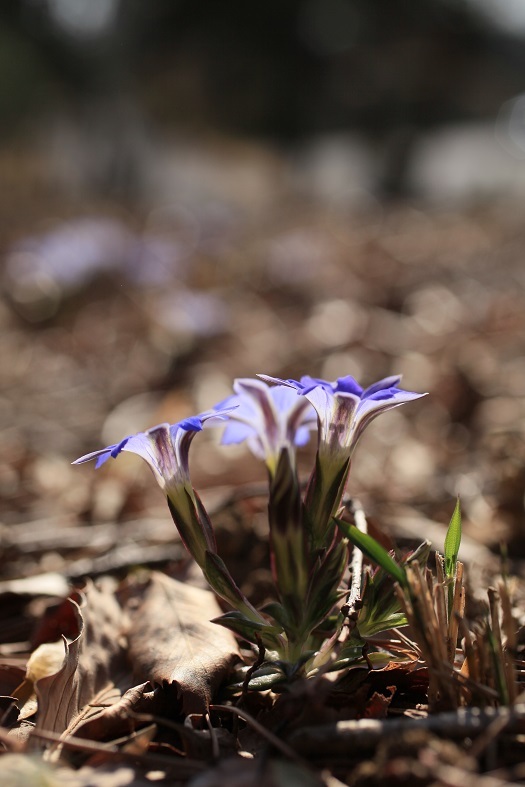 e0304170_22320511.jpg