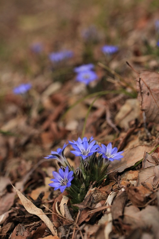 e0304170_22330820.jpg