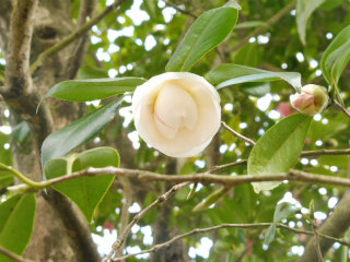 e0046477_21311045.jpg