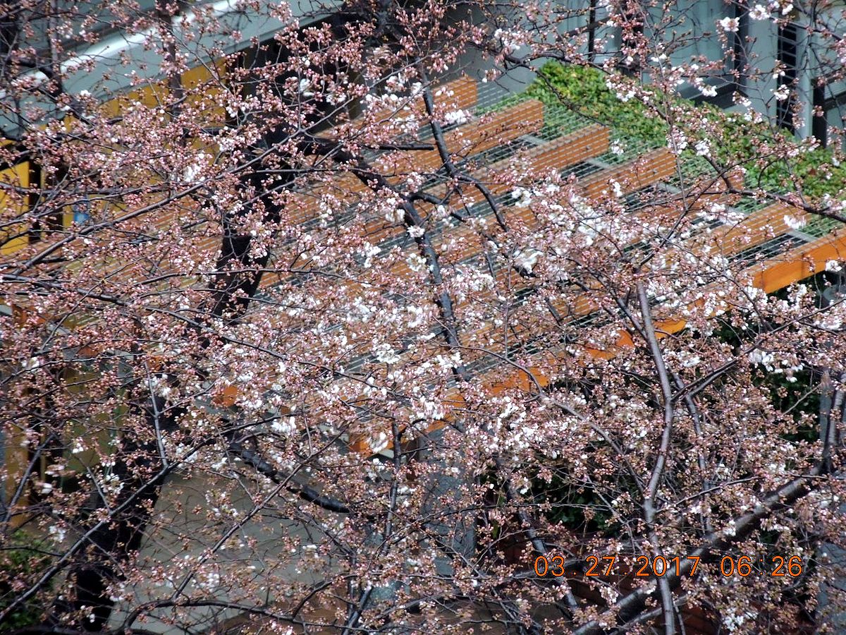 f0104277_635449.jpg