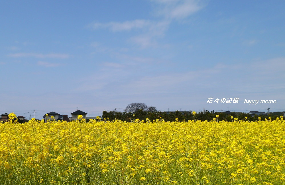 c0357781_12510573.jpg