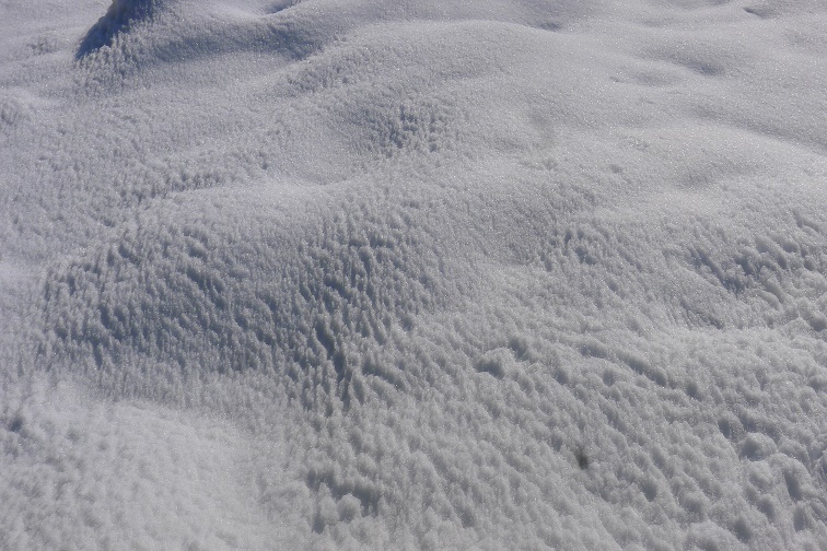 a0130586_19441155.jpg