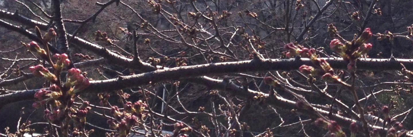 c0170789_21591394.jpg