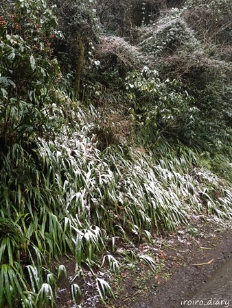 e0206490_11185942.jpg
