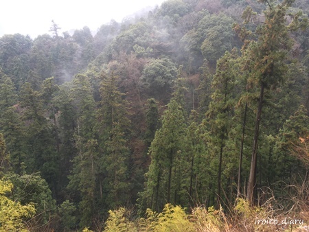 e0206490_23042744.jpg