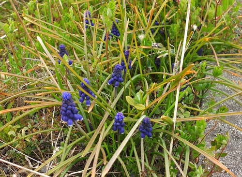 b0212396_20421178.jpg